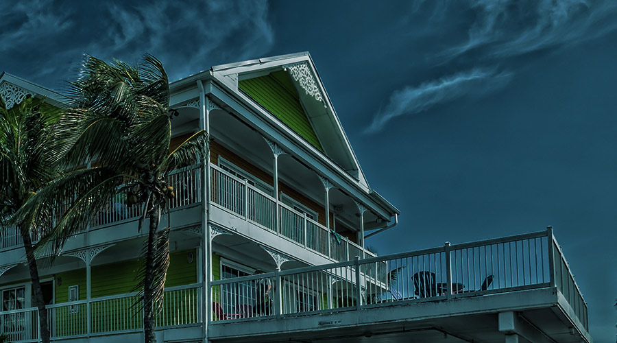 picture of house and palm trees being affected by hurricane winds